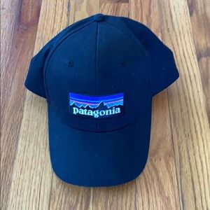 Patagonia Logo Hat